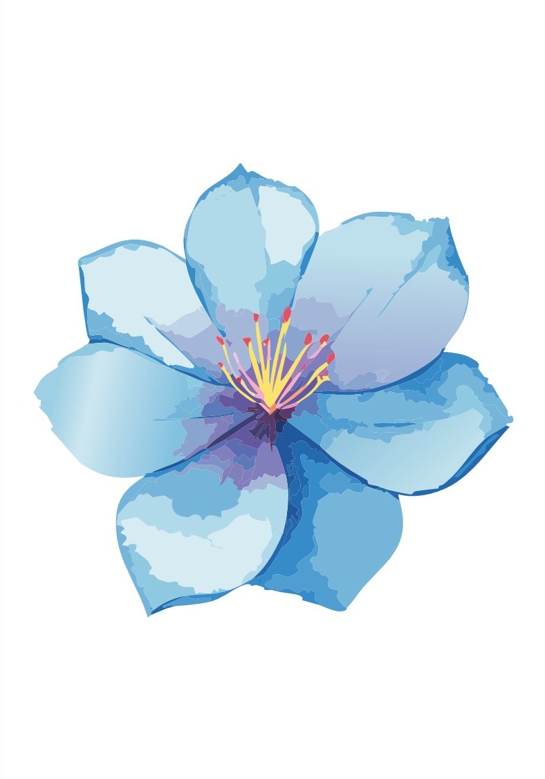 Blue Blossom cover