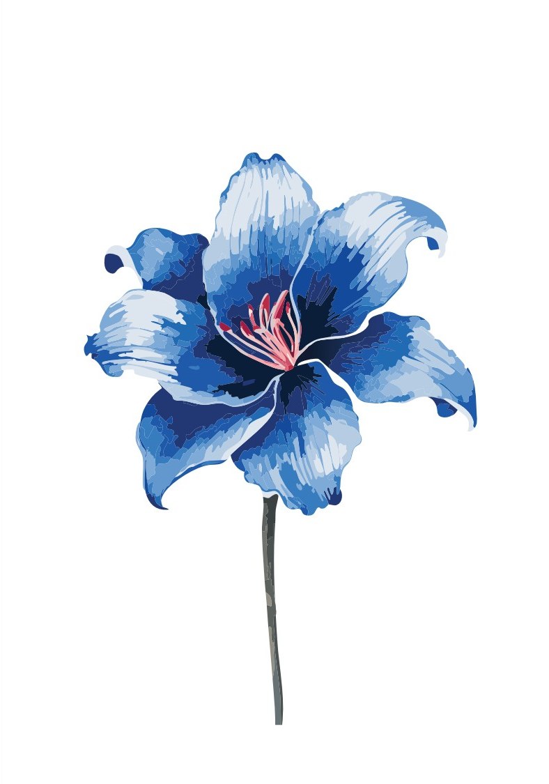 Blue Lily cover