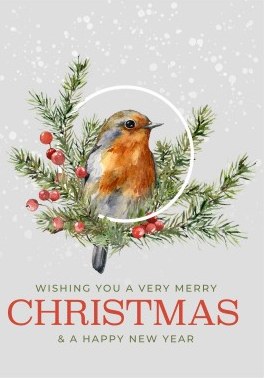 Merry Christmas Robin cover