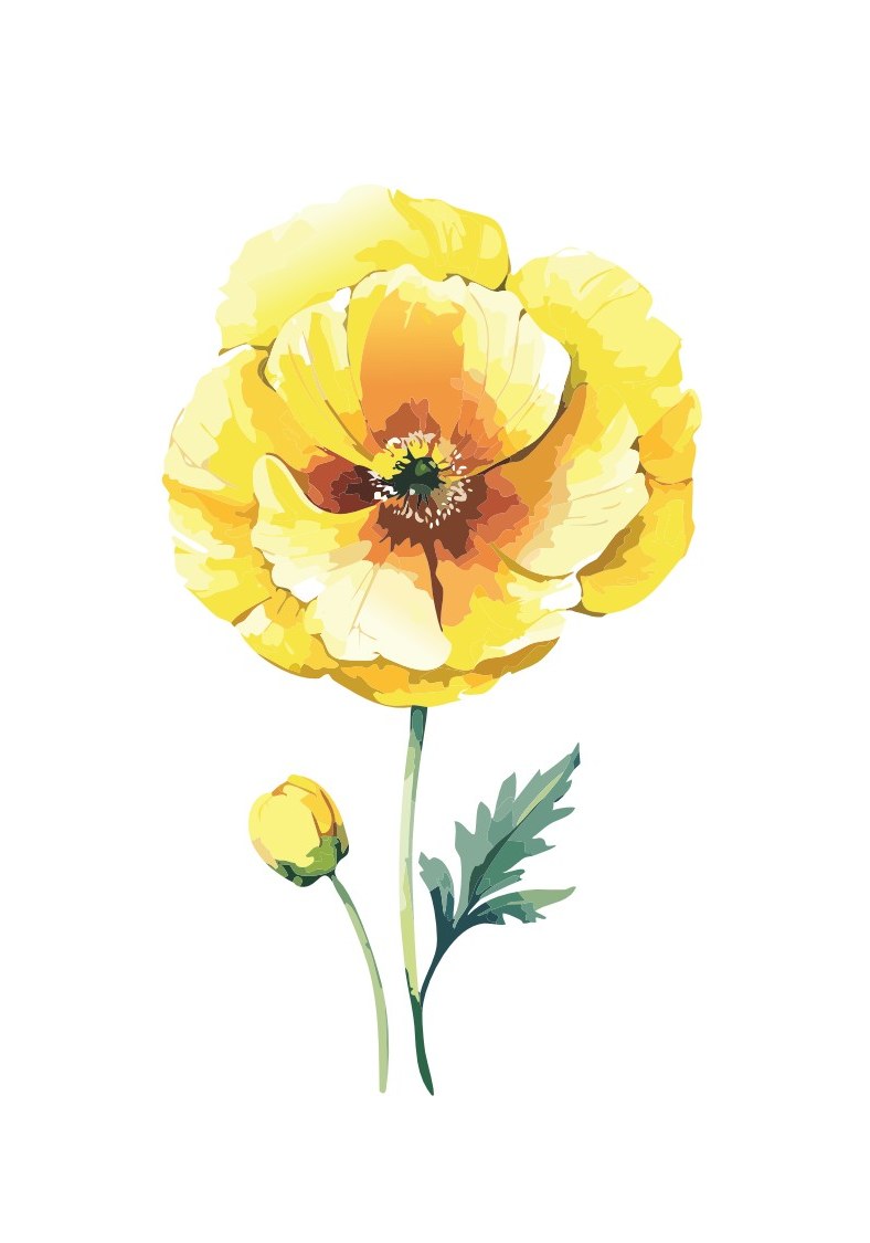 Yellow Poppy cover