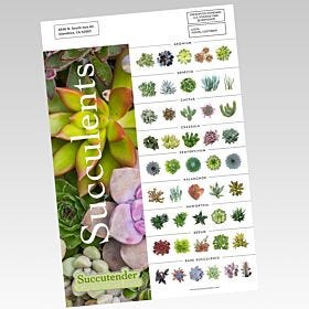 EDDM Sell Sheets